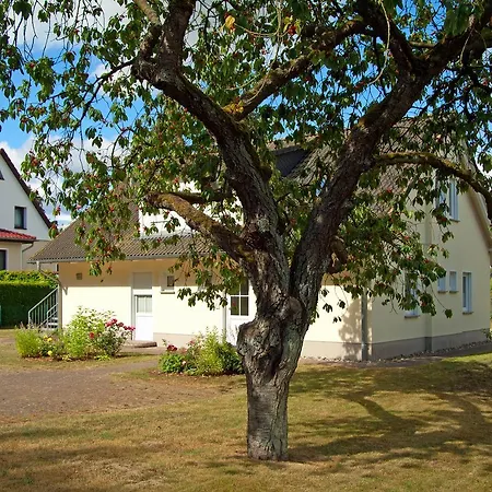 Sonnenhus - Ruegen Apartman