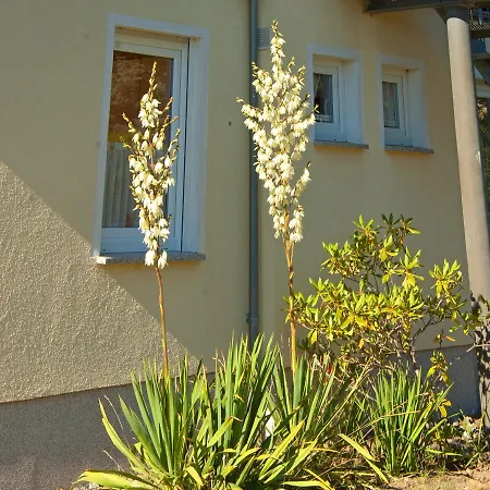 Sonnenhus - Ruegen * Sellin