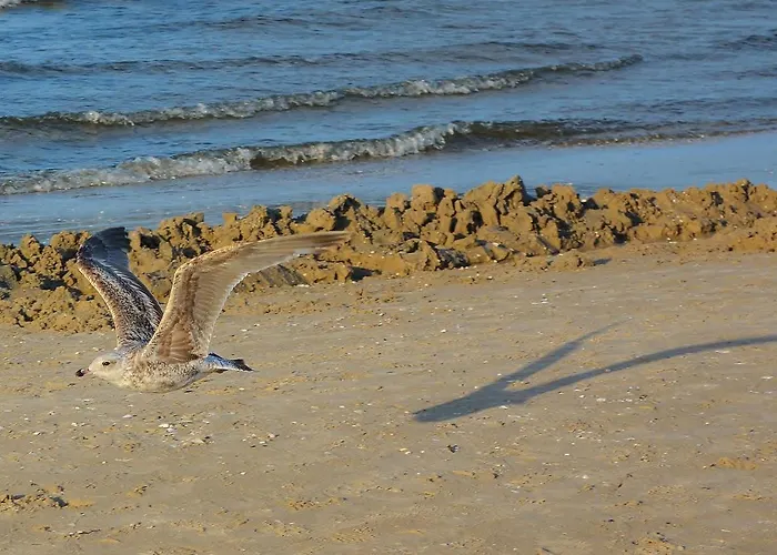 Sonnenhus - Ruegen Sellin (Rugen)